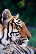 Veranstaltungsbild Besuch im Zoo Hannover
