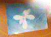 Veranstaltungsbild Neu! Alles blau oder was?!*