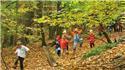 Veranstaltungsbild Waldtag in Kolshorn