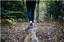 Veranstaltungsbild Neu! Outdoor-Erlebnis im Wald*
